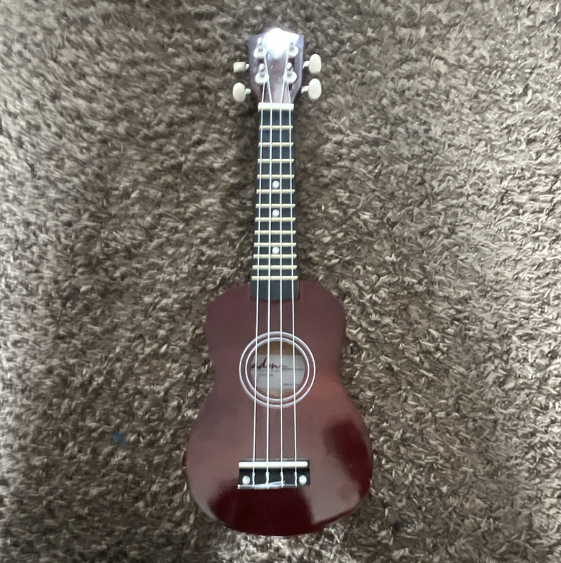 Acoustic 4-String Ukulele Gloss Brown Wood Body/Top Standard Right-Handed