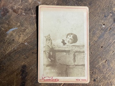 VAUDEVILLE ACTRESS FELINE: Annie Gilbert Cabinet Card Holding a Cat by Newsboy