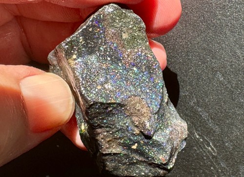 Honduran Black Matrix Opal * 3.5 lbs * 1,580 grams * Wholesale Deal - Picture 4 of 8