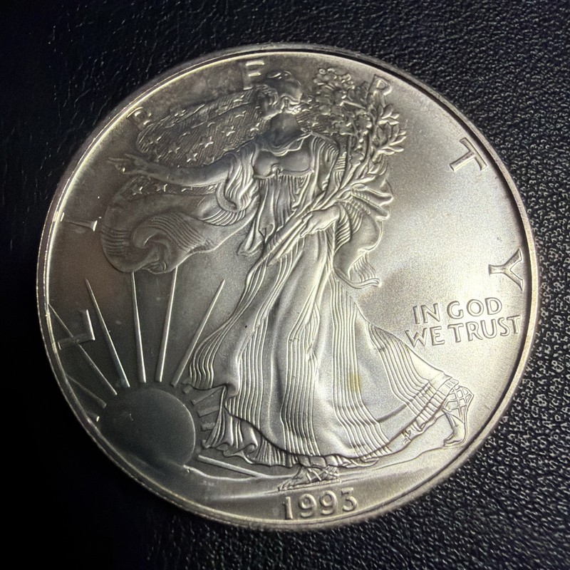 1993 Silver Eagle $1  E318