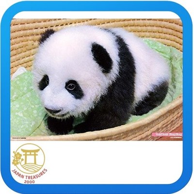 300 piece jigsaw puzzle Toddler Shanshan 26 x 38 cm