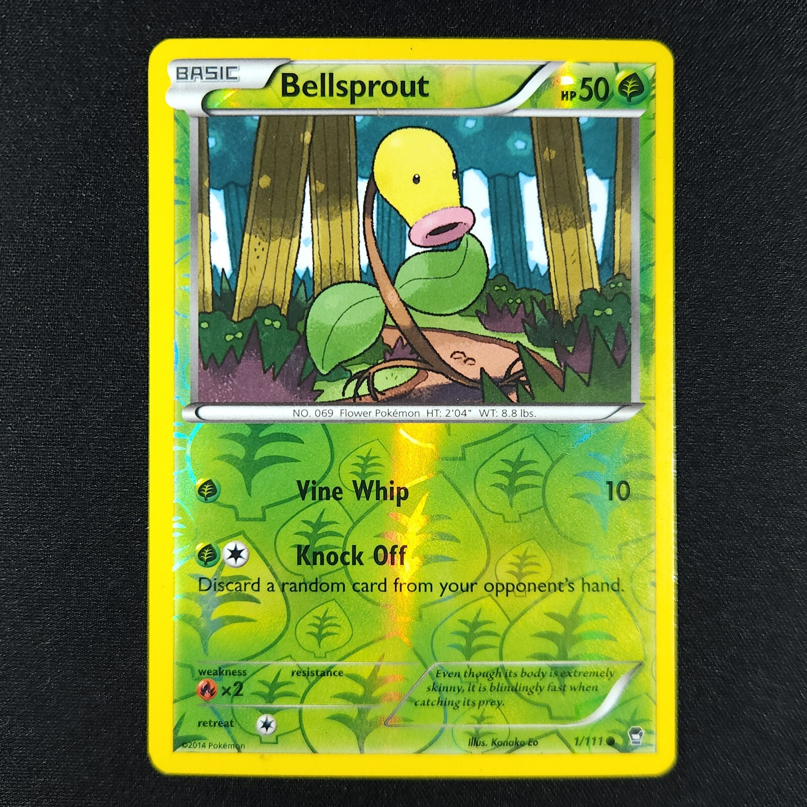 Bellsprout 1/111 Holo - Furious Fists - Pokemon Card