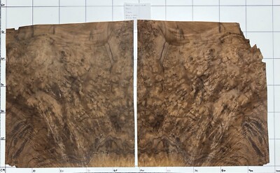 Nussbaum Maserfurnier. 2 Blätter @490 mm x 400 mm x 0,54 mm Intarsien ZAW7