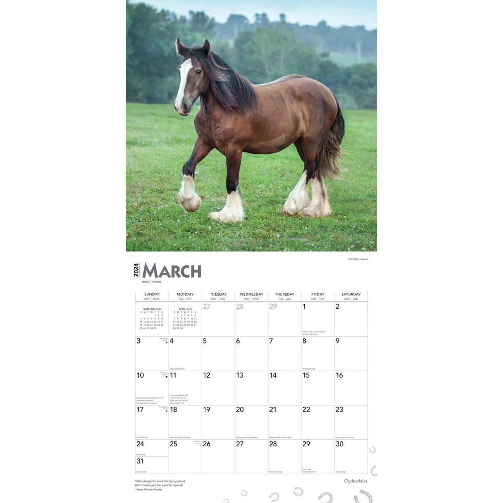 Browntrout, Clydesdales 2024 Wall Calendar International Society of