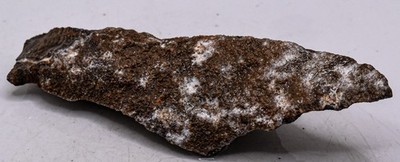 105g Black Brown Stromatolite Rough Natural Algae Fossil Mineral Raw Stone Peru