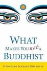 What Makes You Not a Buddhist by Dzongsar Jamyang Khyentse (Paperback, 2008)