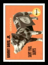 2000 St. Paul Saints Team Issue Hammy Davis Jr. MAS rare ssp BXCP39