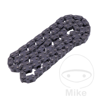 BorgWarner Endless Cam Chain fits Suzuki AN 250 Burgman 1998-2006