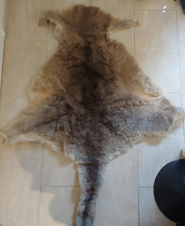 Piel de canguro auténtica 75" largo x 50" ancho Foto 2 de 4