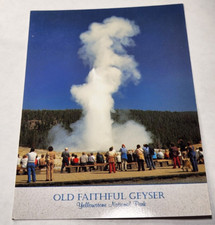 Old Faithful Geyser postcard Yellowstone Nati...