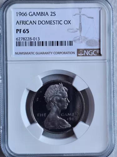 Gambia 2 Shillings 1966 African Domestic Ox NGC PF 65