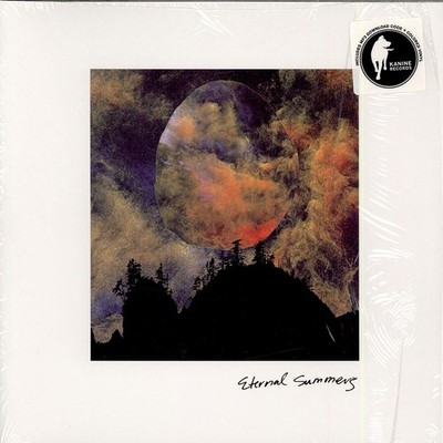 Eternal Summers - The Drop Beneath (Vinyl LP - 2014 - US - Original)