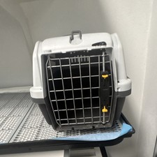 Hard-Sided Dog Travel Crate Gray/Black Plastic with Metal Door  Yellow Latches