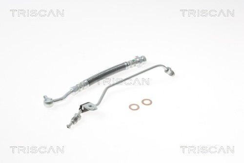 8150 18229 Triscan Brake Hose for Kia