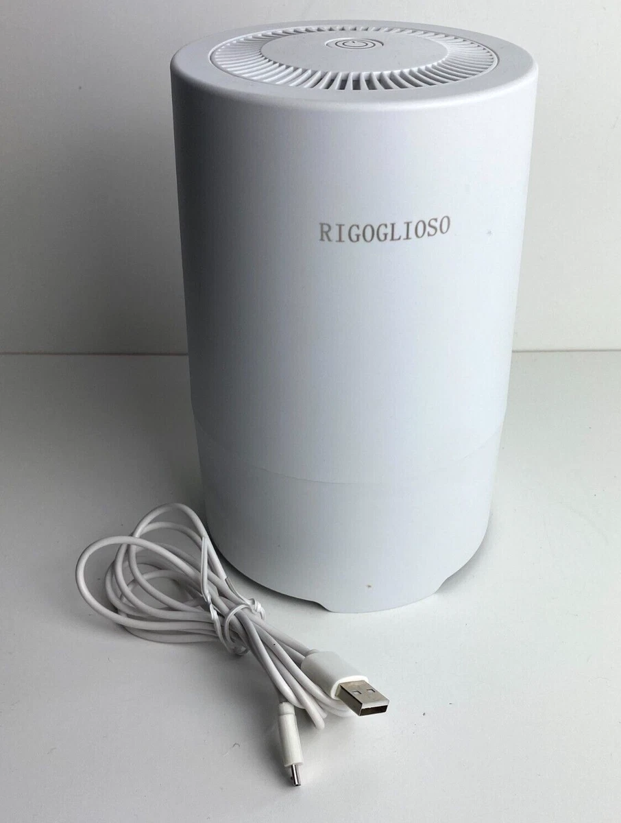 Rigoglioso air purifier deals