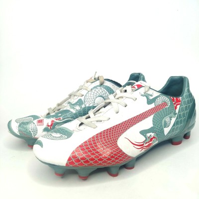 puma evospeed 4.3 dragon