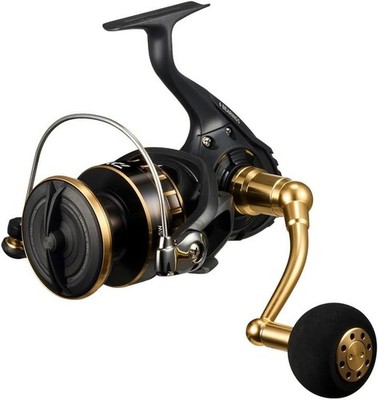 DAIWA BG SW 8000-H 2023 Spinning Reel Fishing Yellowtail Amberjack