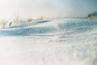 Foto 6 di 9