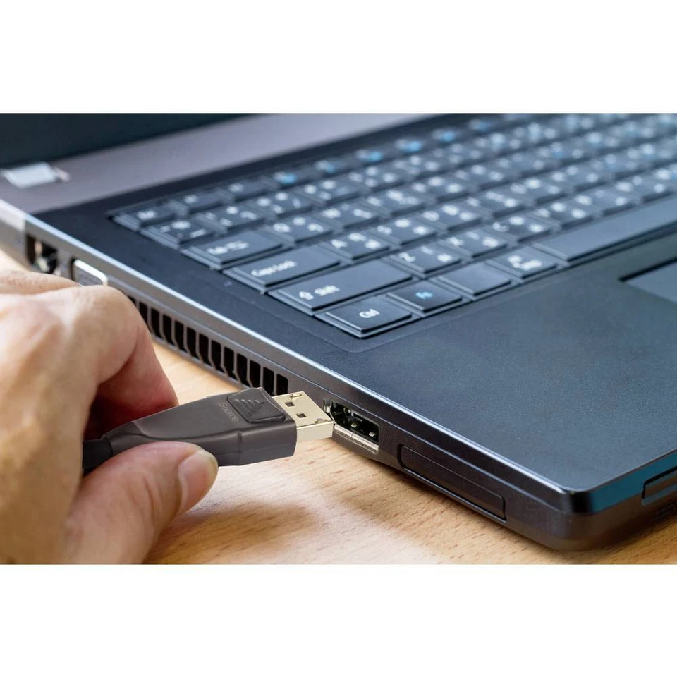 Renkforce DisplayPort Anschlusskabel DisplayPort Stecker, DisplayPort Stecker - Bild 3 von 3