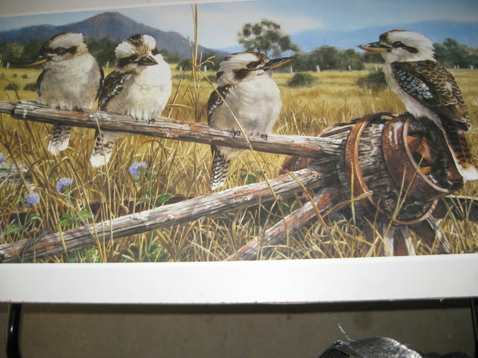 Gordon Hanley Prints Kookaburras Wildlife "The Hub" Open Edition eBay