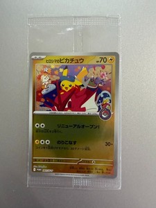 Pokemon Center Hiroshima Pikachu | eBay