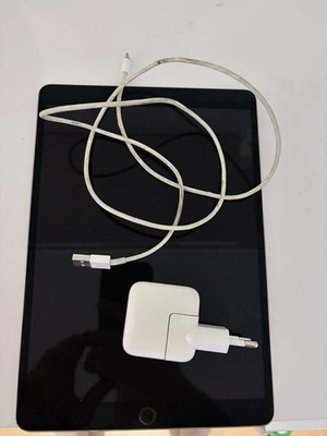 Apple iPad Pro 1. Gen 256GB, Wi-Fi, 10,5 Zoll - Space Grau