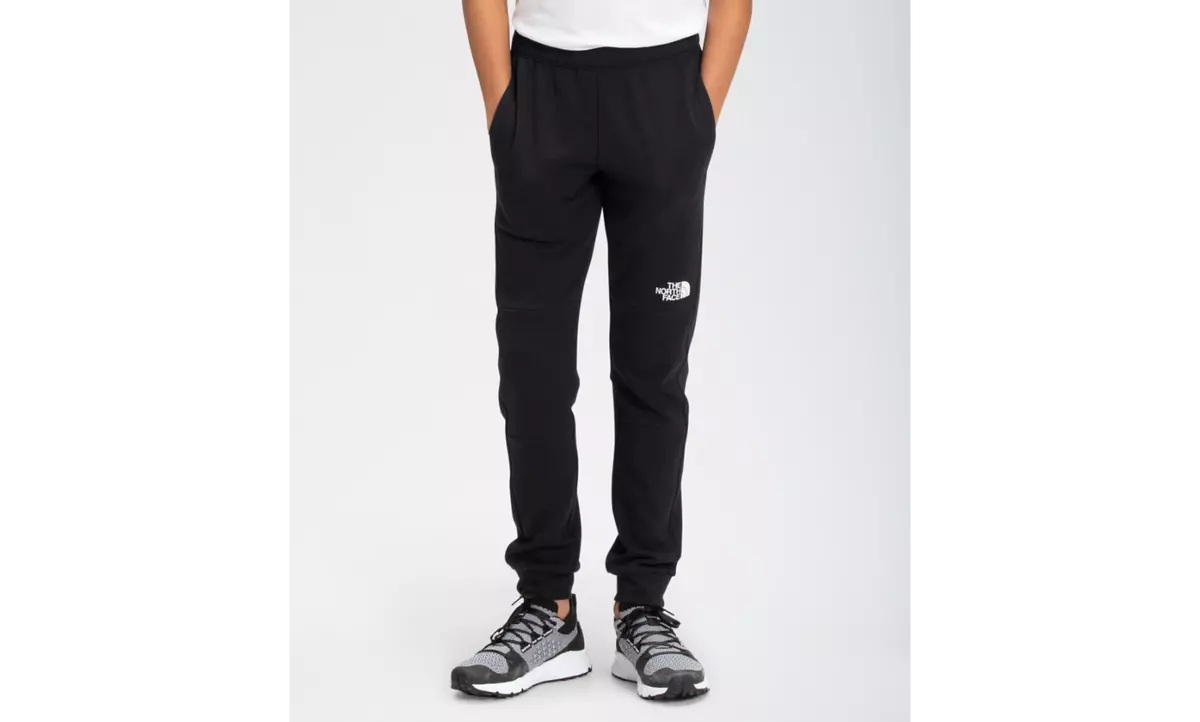 Boys north best sale face cargo pants