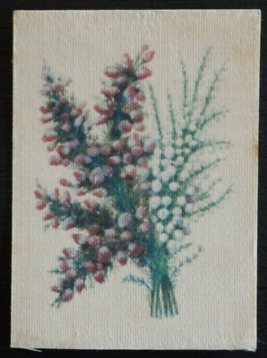LANGUAGE OF FLOWERS White Heather 1914 My Weekly Silk