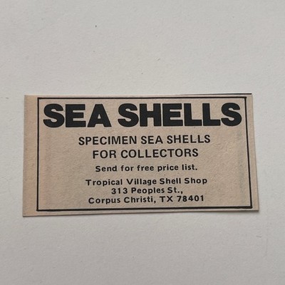 Tropical Village Shell Shop Sea Shells Specimen Corpus Christi 1977 Ad SAI6-S7