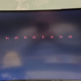 Karateka (Atari 7800, 1986) Includes Manual - Tested