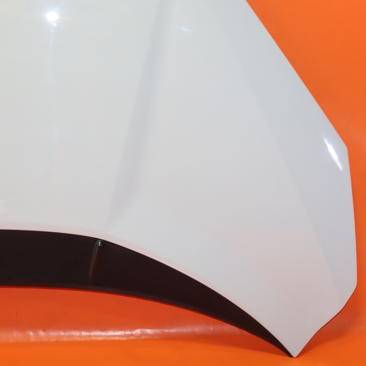 LAMBORGHINI REVUELTO HOOD 2024 2025 2026 47B823025D OEM