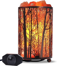 Himalayan Salt Lamp, Salt Rock Lamp Natural Night Light in Forest Design Metal B
