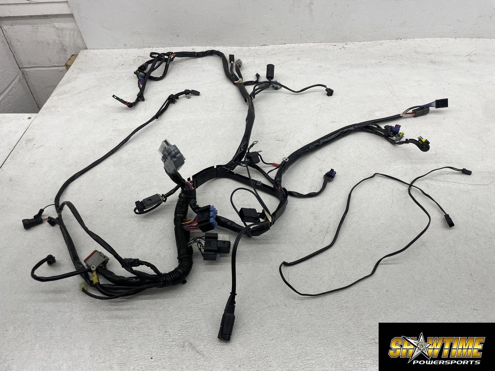 01-06 HARLEY-DAVIDSON HERITAGE SOFTAIL CLASSIC FLSTCI MAIN ENGINE WIRING HARNESS