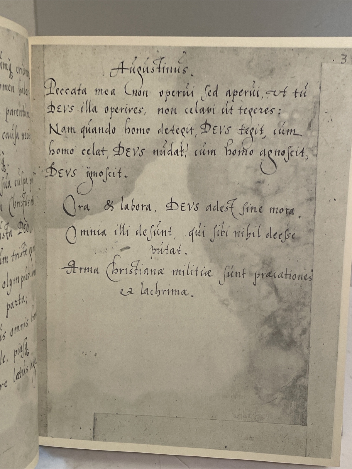 Foto 10 di 24