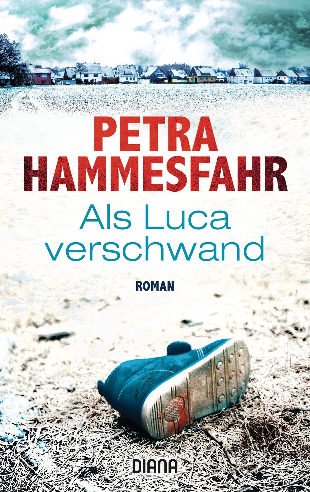 Thumbnail - Als Luca Verschwand | Roman | Petra Hammesfahr | Taschenbuch | 512 S.