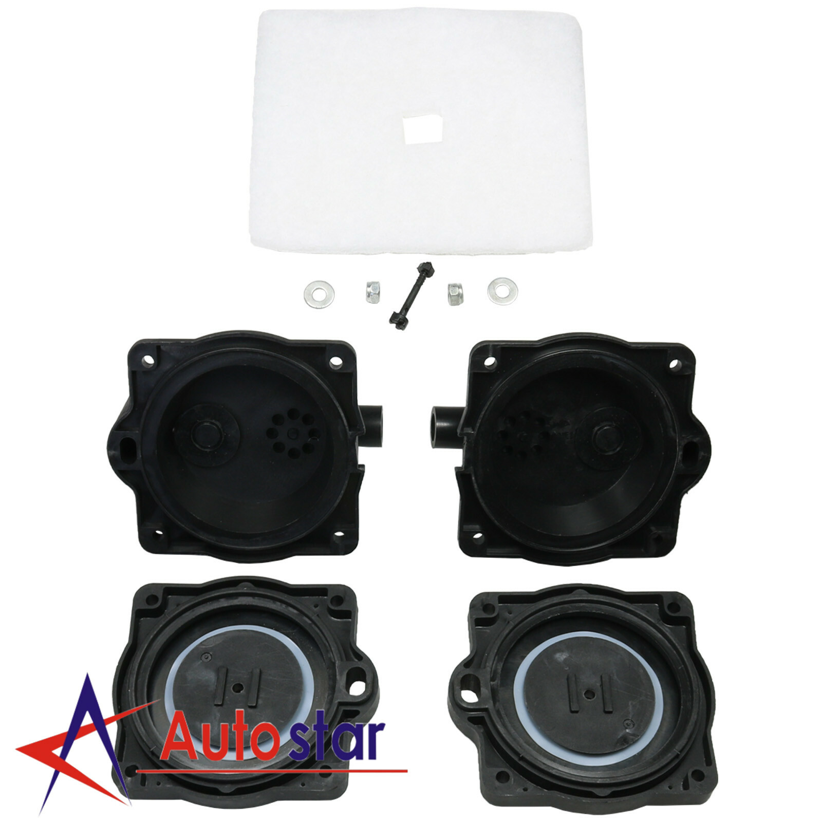 Air Pump Diaphragm Rebuild Repair Kit w/ Filter Screw Nuts