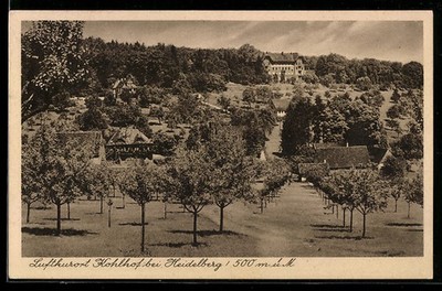 Kohlhof /Heidelberg, Gasthof Alter Kohlhof, Inh. E. Schmidt, Ansichtskarte 