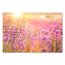 Postereck 2759 Poster Canvas Lavender, Field Nature Landscape Flowers Meadow