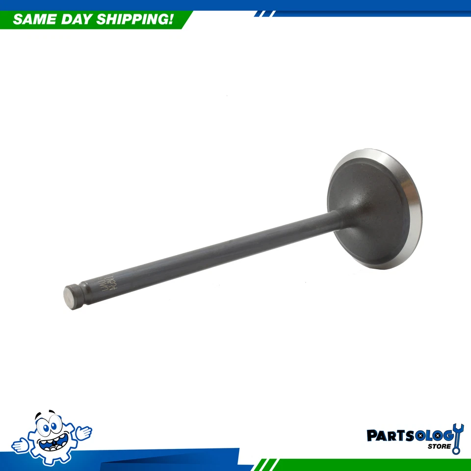 Válvula de admisión DNJ IV534 para 09-13 Suzuki Grand Vitara Kizashi 2,4 L L4 DOHC 16v Foto 3 de 4