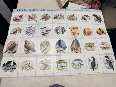 Vintage Scholastic Book Club  Let s Look at Birds  Educational Poster Fred Banbe