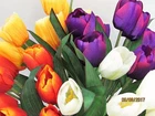 1 Bouquet 9 Heads Artificial Flower Tulip Floral Posy Home Garden Decor