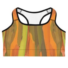 Desert Rain Sports bra