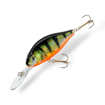 best rod reel combo for 5 to 6 pound fish Zebco Verge Spinning and Fishing Combo, 5-Foot 6-Inch 2-Piece Fishing Pole, Size 10 Reel, Changeable Right- or Left-Hand Retrieve, Pre-Spooled with 6-Pound Zebco Fishing Line, Black: Buy Online at 13 Fishing Concept Z Style:V-neck Made with a fiberglass Blackout