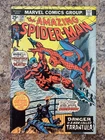 AMAZING SPIDER-MAN #134 ~Jul 1974~ FN+ 6.5~1st Tarantula~2nd Punisher~MVS Intact