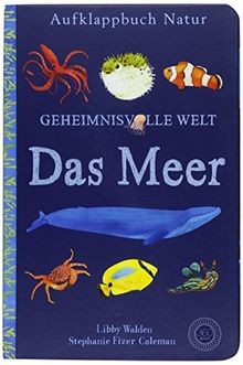 Geheimnisvolle Welt: Das Meer von Walden, Libby | Buch | Zustand akzeptabel