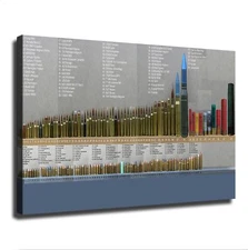 Bullet Caliber Comparison Chart Poster Wall Art Canvas Print Picture