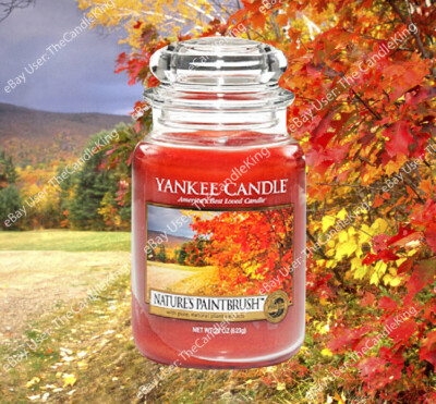 Yankee Candle NATURE'S PAINTBRUSH 22oz Great Fresh Fall Scent!!! 