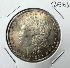 1896 Morgan Dollar - BU - Toned - As Shown! (#2583)