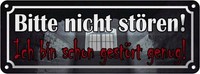 Blechschild 10X27 Cm Nicht StöRen Bin Schon GestöRt Warnschild Hinweisschild Sic