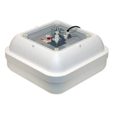 GQF 1583 Circulated Air Picture Window Hova-Bator Egg Hatching Incubator